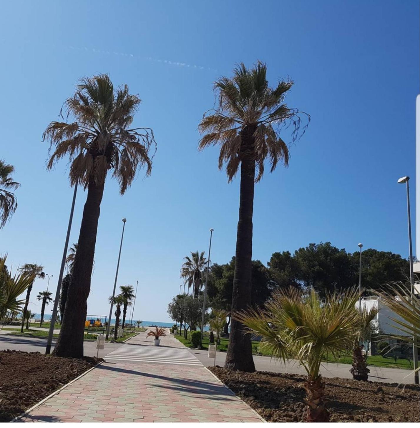 Amaris Apartments Durrës Quarto foto
